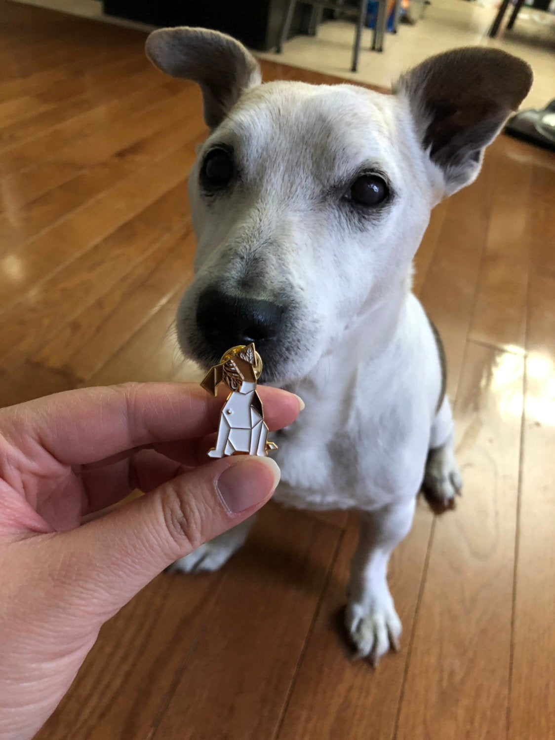 Origami "Nicky" Puppy Dog Enamel Pin