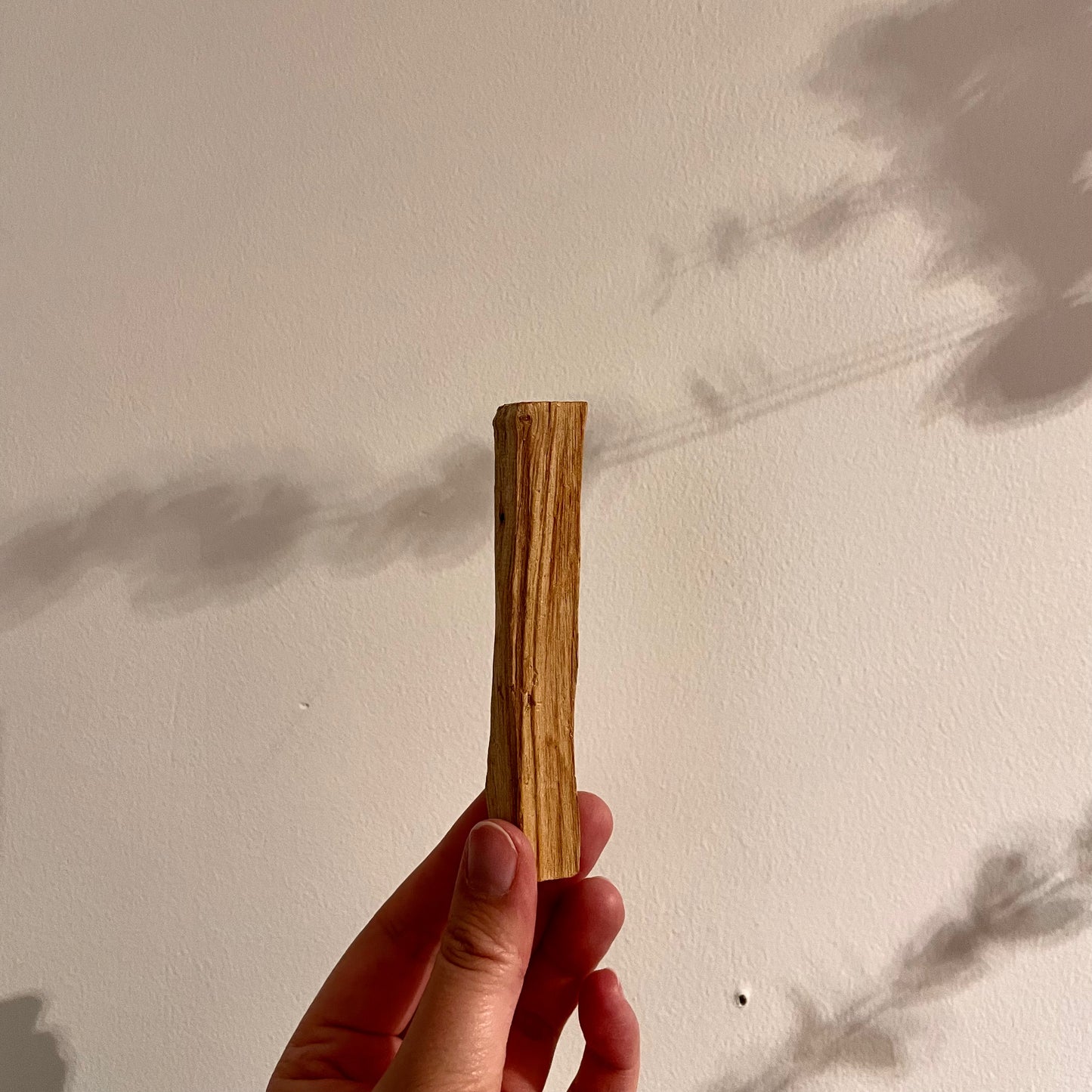 Organic Palo Santo