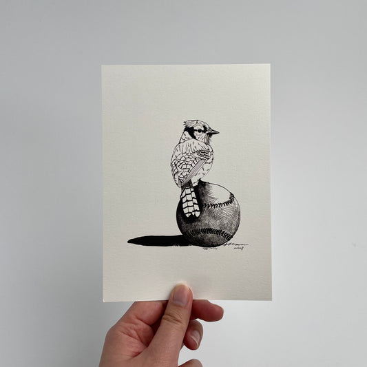 Blue Jay Baseball Print
