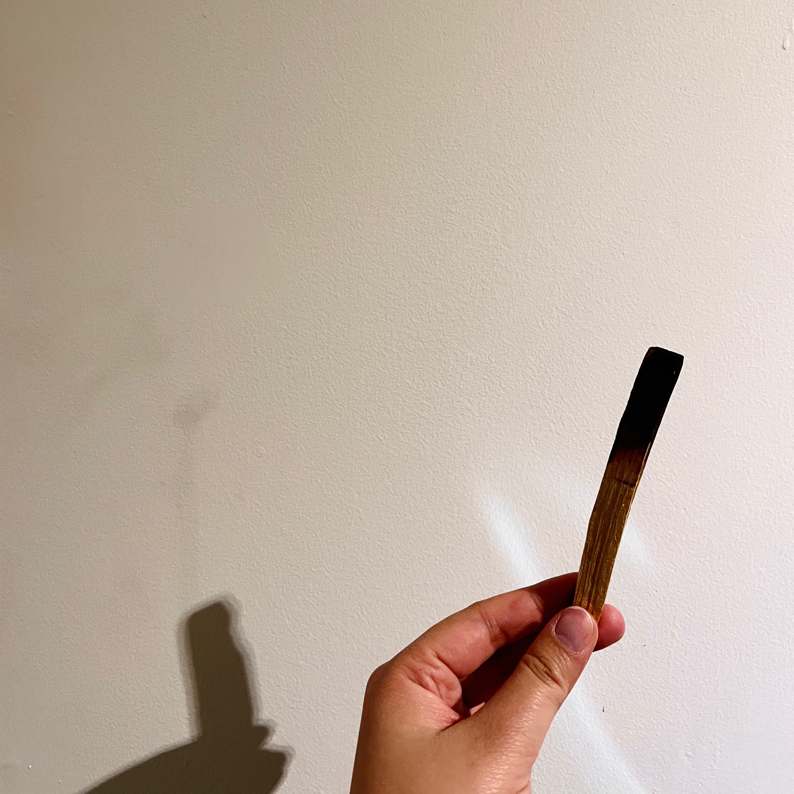 Organic Palo Santo – Missy Rabbit