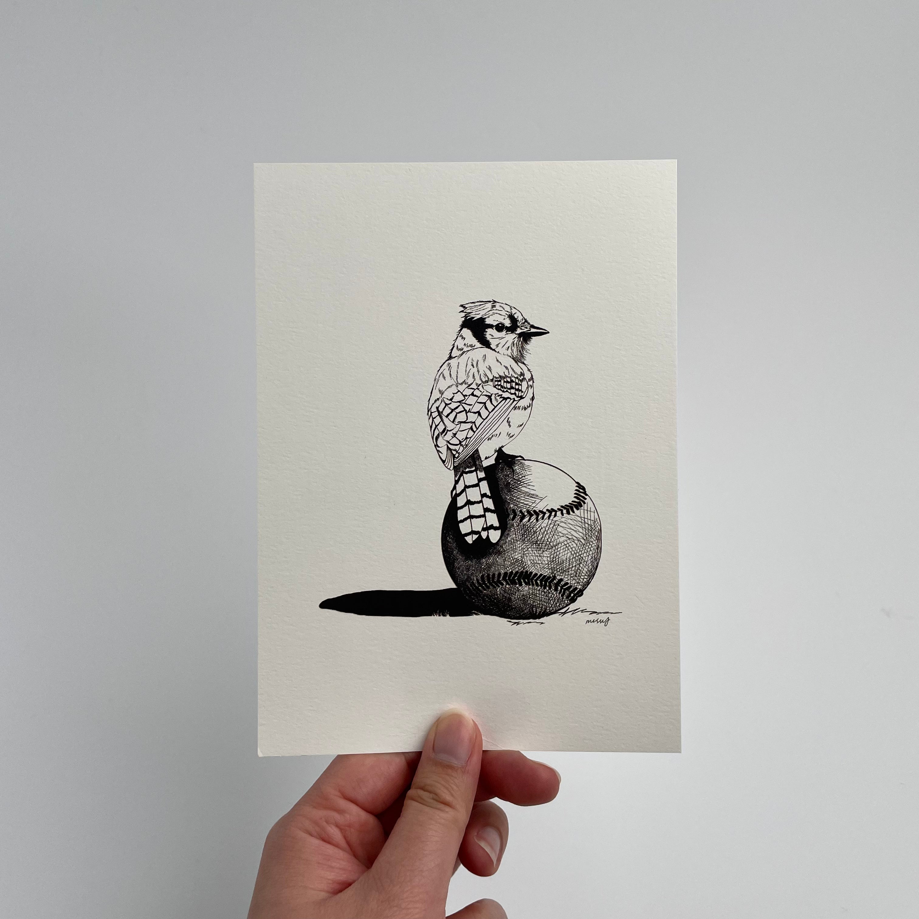 Blue Jay Baseball Print – Missy Rabbit